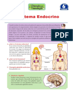 6°PRIMARIA -SIST.ENDOCRINO