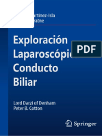 DEMO Exploración Laparoscópica Conducto Biliar