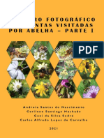 PDF) O gênero Catasetum em Mato Grosso, Brasil - 2007
