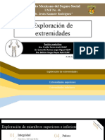 Exploracion de Extremidades Sin Videos