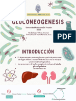 Gluconeogenesis 2.0