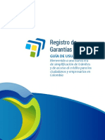 Registro Garantias Mobiliarias - Guia de Usuario