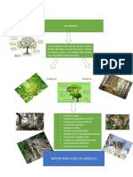 Tarea de Forestal