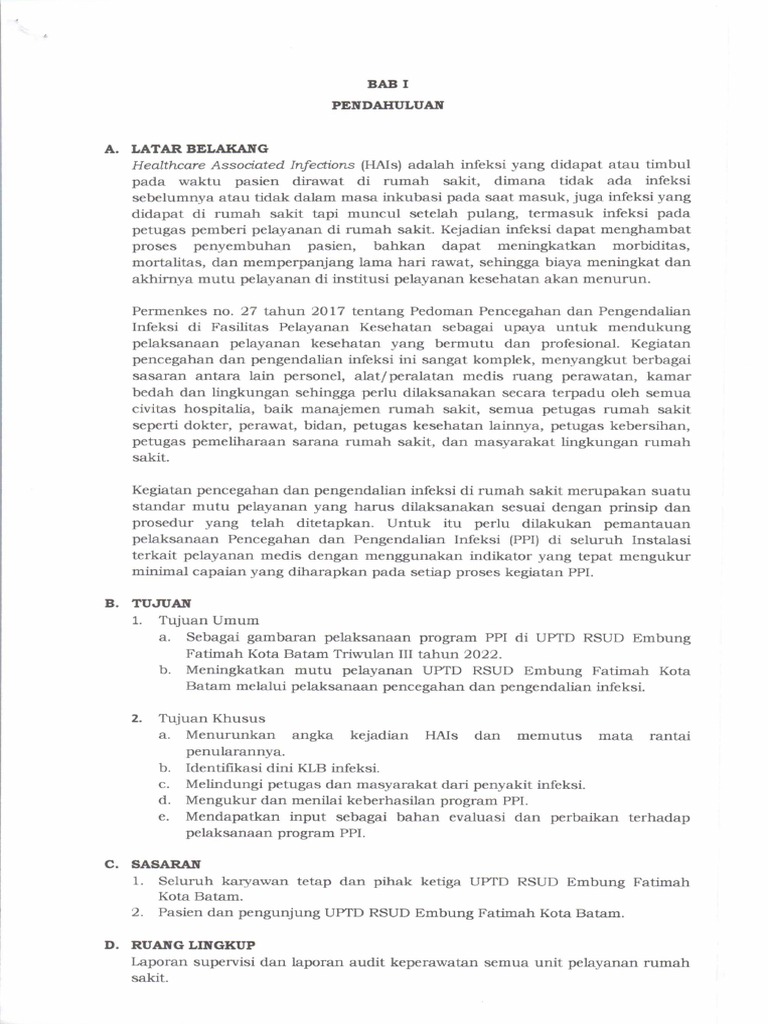 PPI | PDF