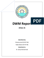 DWM Lab2 Report (19-CP-26, 19-CP-40)
