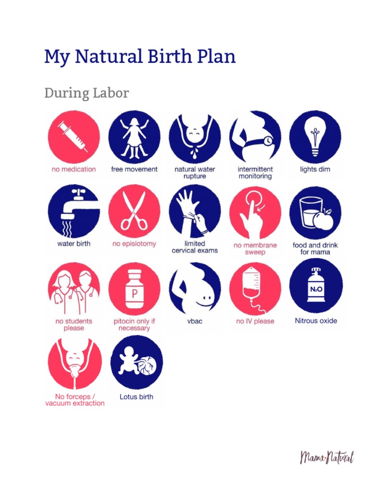 Mama Natural Visual Birth Plan Template PDF