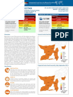 IPC Acute Food Insecurity Analysis-Final Report-Balochistan-1