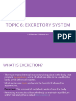 Topic 6 - Excretory System 2021
