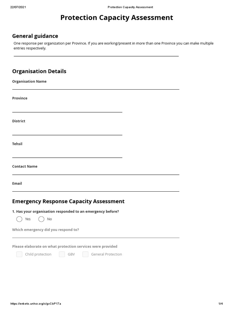 blank_form_Protection_Capacity_Assessment PDF Child Protection