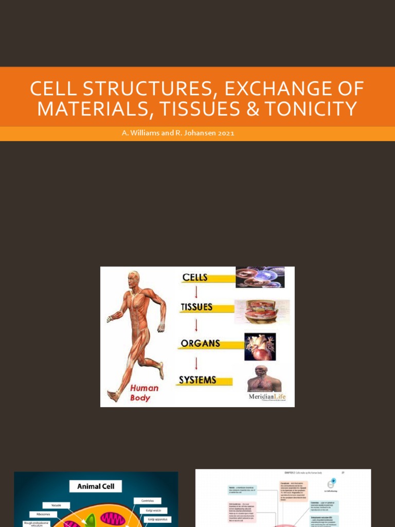 Topic 2 Cell Exchange of Materials Tissues Tonicity 2021 PDF Cell Membrane Osmosis