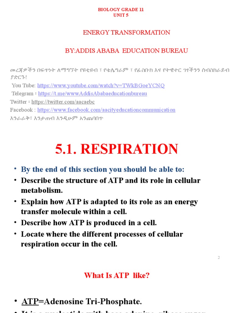 biology class 11 chapter 5 exercise solutions