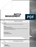 MM Fitgap Batch Management