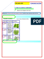 Plantas Medicinales Martes