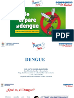Dengue Iiee