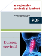 Curs BFK Cervicala - 2021