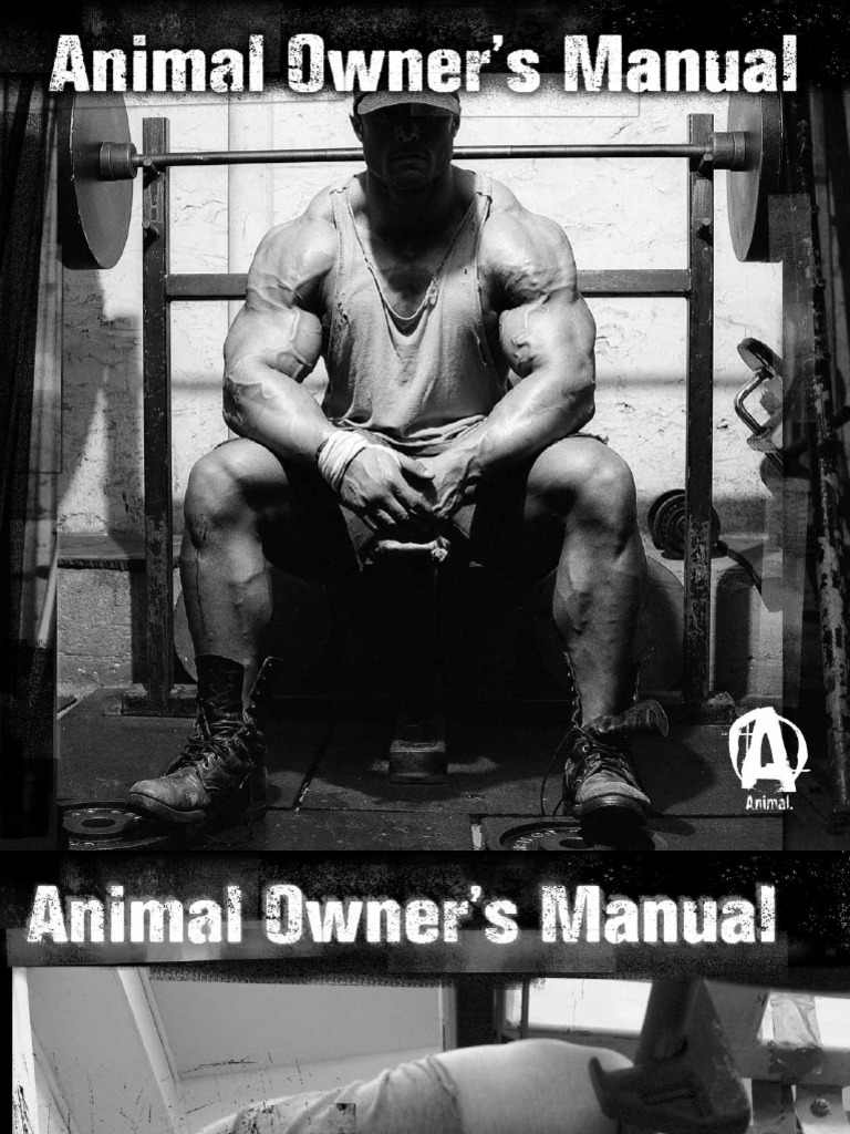 All Elite Wrestling – Pro Wrestling Transcriptions, image size:768x1024