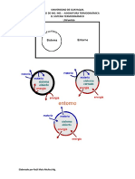 El Sistema Termodinámico Ejemplificaciones