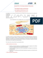 Boletin Mayo Uso Seguro de Insulinas