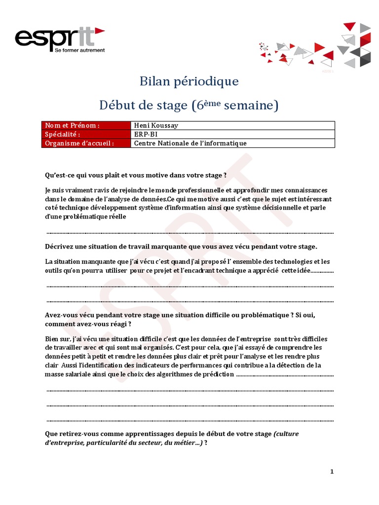 Bilan Périodique Début Stage - Heni - Koussay | PDF | Informatique ...
