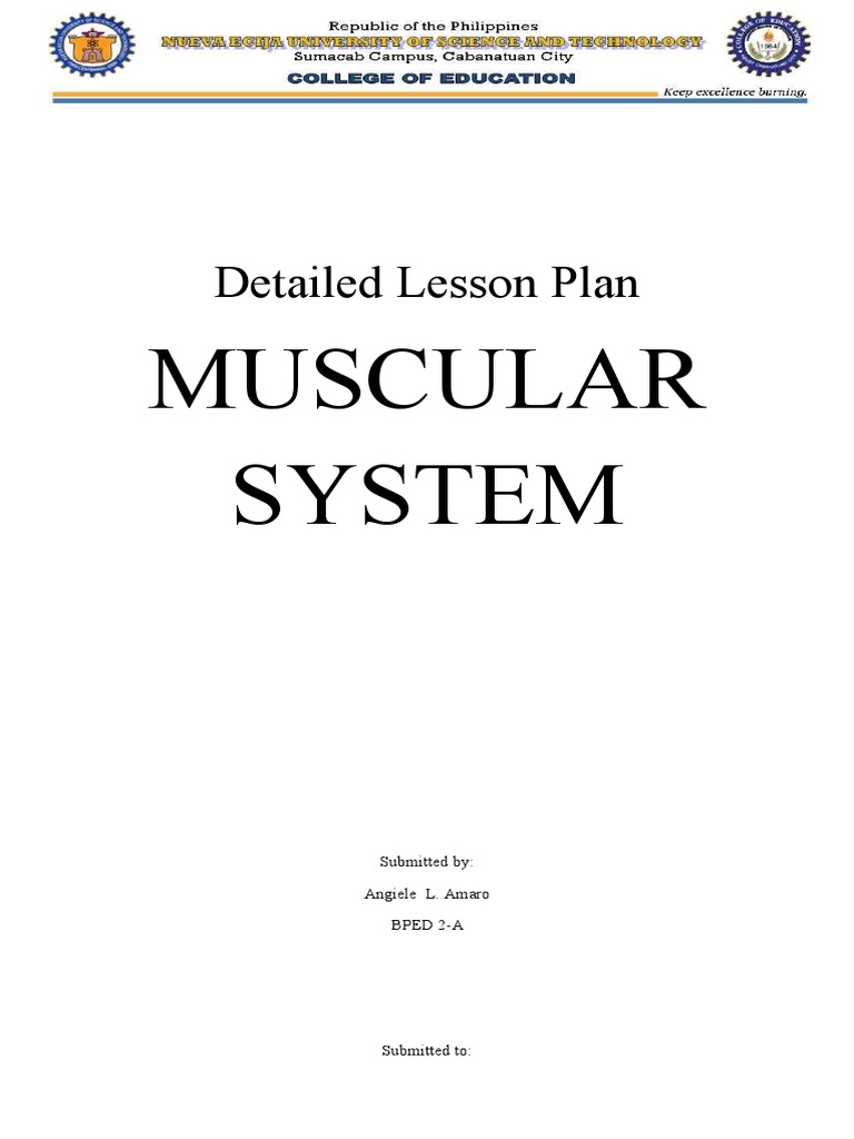 Lesson Plan Pdf Skeletal Muscle Skeleton