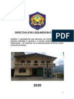 Directiva N°01-2020