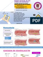 Exposicipon DX Por Laboratorio