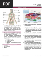 AP11-Lymphatic System