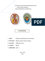 Practica 8 Fisiologia Vegetal - Fotosintesis