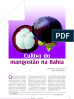 Mangostão