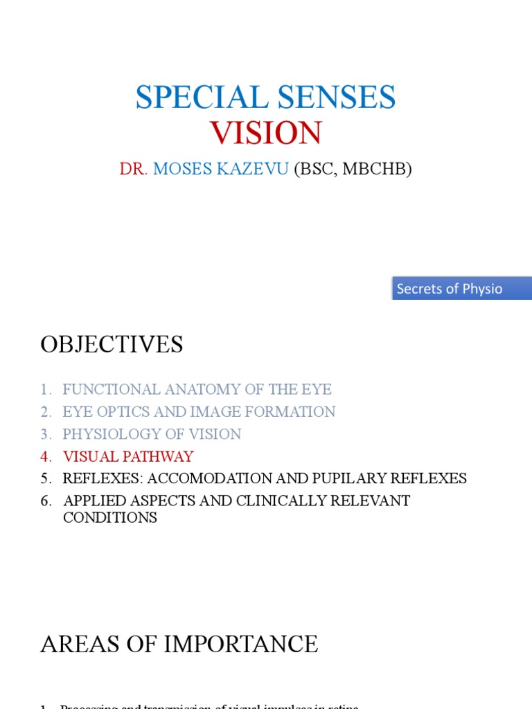 Lecture 9 Special Senses Part 4-Vision | PDF | Visual System | Retina