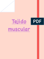 Tejido Muscular