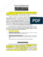 Histología de La Nefrona