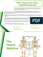 Human Skeleton Lecture PPT VBC