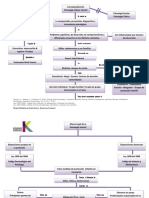 Mapas Introductorios Contextualizacion y Marco Legal de La Psicologia Clinica Infantil