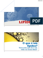 LIPIDEOS