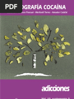 MonografÍa de La CocaÍna