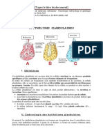 2 - Epithelium Glandulaire 23a