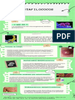 Infografia Estafilococos