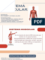 Sistema Muscular