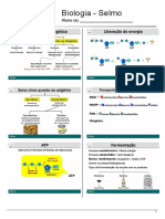 MG Biologia Semi Ufu 60c8d341671de