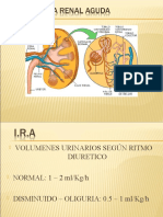 Insufiencia Renal Aguda