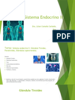 Sistema+Endocrino+II.+Tiroide%2C+pratiroides+y+suprarrenales.+pptx