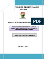 Directiva de Ejecucion Proyecto - Satipo 11.05.2017
