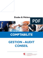 gestion-audit-compta2020