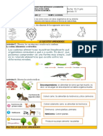 3° Cadena Alimenticia-Contaminación