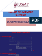 Huesos Del Miembro Superior 2013