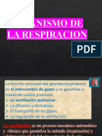 Conferencia Función Respiratoria