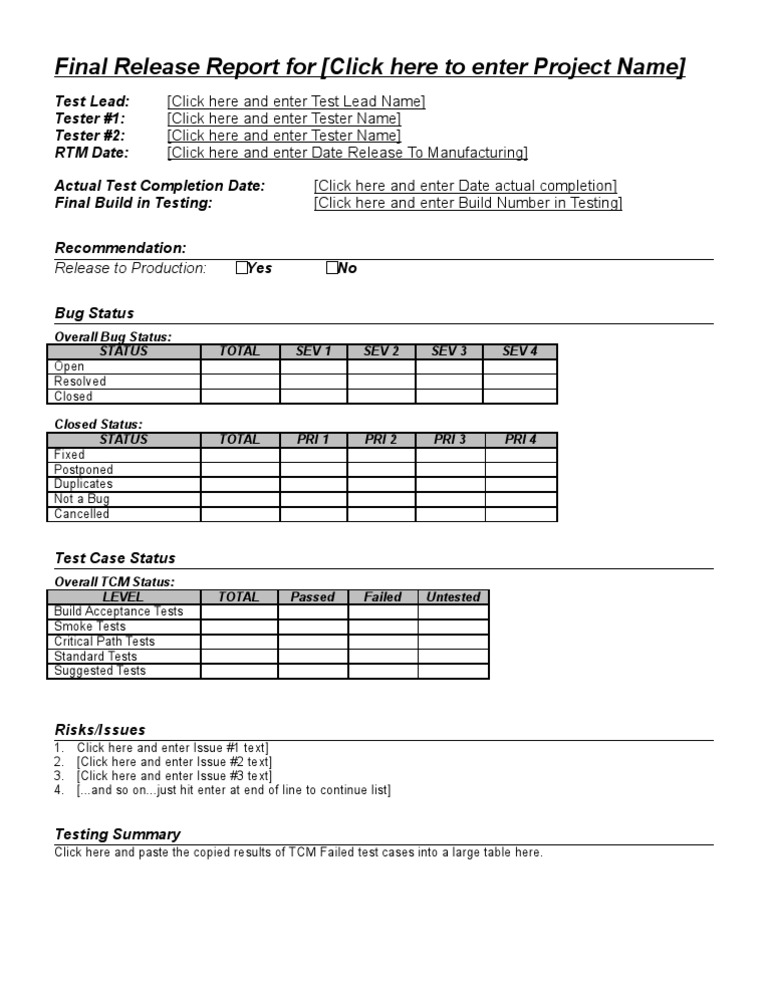 Final Test Release Report | PDF
