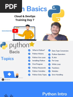 Python Basics