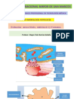 Cuaderno de Trabajo Semana 3